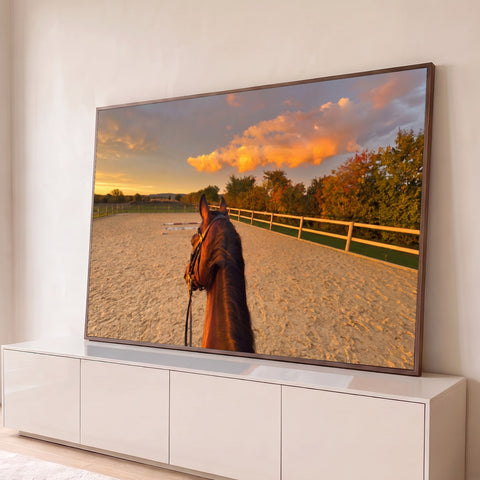 Cavalo castanho visto pelo cavaleiro em picadeiro de areia, céu laranja e árvores de outono, quadro decorativo