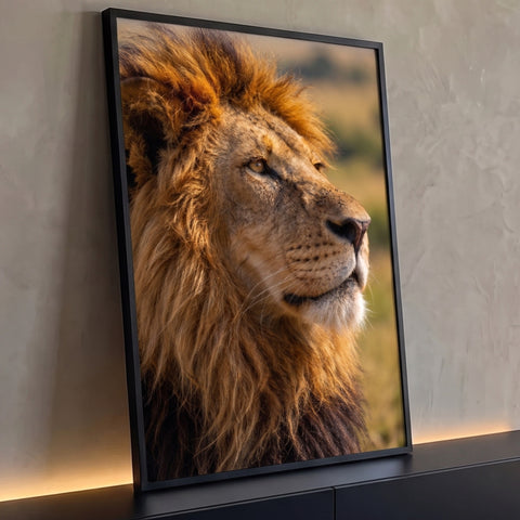 Leão de perfil em close com juba iluminada pela luz do sol na savana africana, quadro decorativo