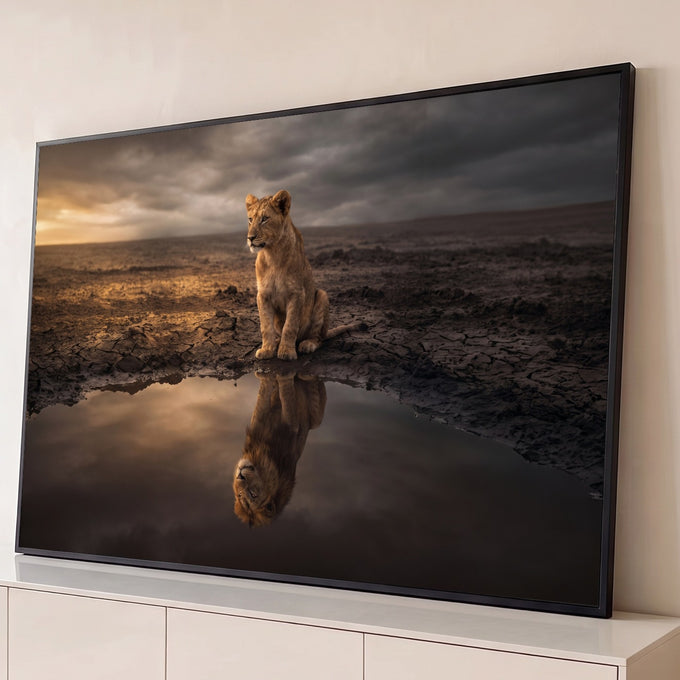 Filhote de leão na savana de terra rachada vendo o reflexo de um leão adulto na água, quadro decorativo