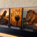 Quadro Decorativo Kit 3 Telas Leão e Flor para Sala Dourado | quadros decorativos para sala | três telas com leões na savana e flor seca retroiluminada pelo pôr do sol | Porao dos Quadros