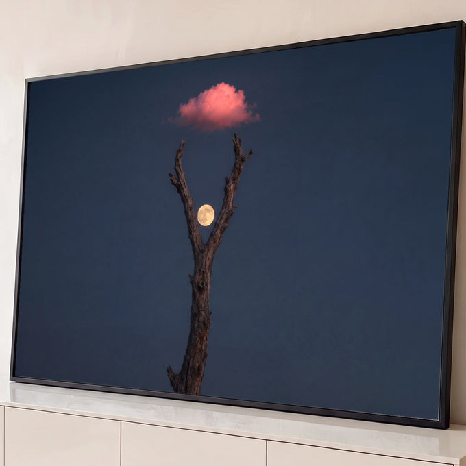 Quadro Decorativo Grande Lua Cheia Galhos para Sala Azul | quadros decorativos para sala | lua cheia entre galhos secos de árvore com nuvem rosa ao fundo noturno | Porao dos Quadros