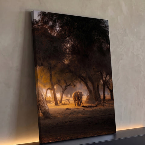Elefante caminhando entre árvores em bosque com luz dourada e poeira ao entardecer, quadro decorativo