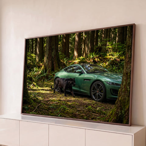 Carro esportivo Jaguar verde e pantera negra caminhando na floresta com samambaias, quadro decorativo