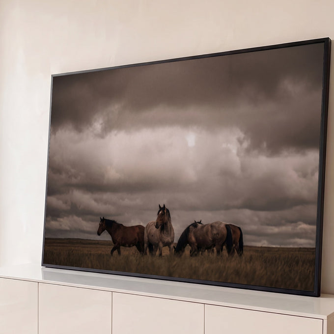 Quatro cavalos selvagens em campo seco sob céu nublado e dramático em tons sépia, quadro decorativo