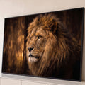 Quadro Decorativo Grande Leão Juba Dourada para Sala | quadros decorativos para sala | retrato de leão com juba dourada e olhar fixo sobre fundo escuro | Porao dos Quadros