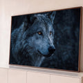 Retrato em close de lobo cinzento com olhos âmbar sobre fundo azul escuro, quadro decorativo
