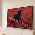 Cavalo preto galopando em campo de flores vermelhas levantando poeira, quadro decorativo
