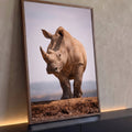 Rinoceronte-branco de frente sobre chão de lama e céu claro, fotografia de vida selvagem, quadro decorativo