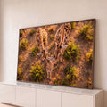 Foto aérea de duas girafas e filhote com pescoços em forma de coração na savana, quadro decorativo