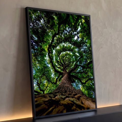 Tronco de árvore visto de baixo com galhos e copa verde iluminada pelo céu, quadro decorativo