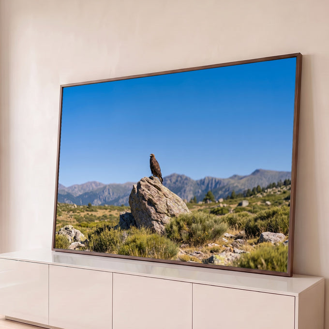 Águia marrom pousada em rocha com montanhas e céu azul limpo ao fundo, fotografia, quadro decorativo