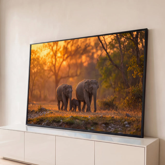 Família de elefantes com filhote caminhando na floresta ao pôr do sol alaranjado, quadro decorativo