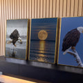 Quadro Decorativo Kit 3 Telas Águias e Lua para Sala Azul | quadros decorativos para sala | trio de telas com águias-de-cabeça-branca e lua cheia refletida no mar | Porao dos Quadros