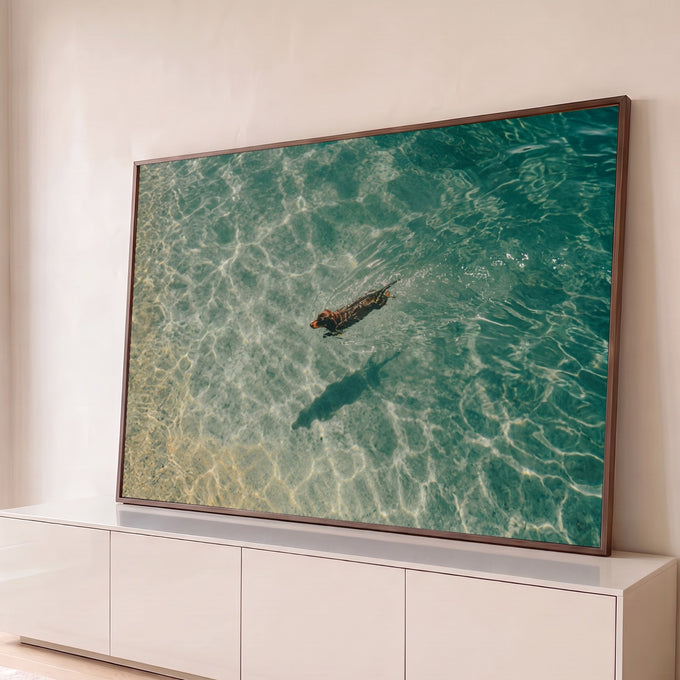 Quadro Decorativo Grande Cachorro Nadando para Sala Verde | quadros decorativos para sala | cachorro marrom nadando em mar turquesa cristalino visto de cima | Porao dos Quadros