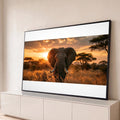 Elefante africano de frente no capim dourado da savana ao pôr do sol, acácias ao fundo, quadro decorativo