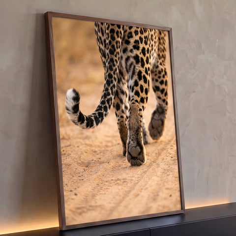Close das patas e cauda malhada de leopardo caminhando sobre areia clara em tons bege, quadro decorativo