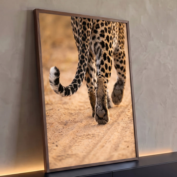 Close das patas e cauda malhada de leopardo caminhando sobre areia clara em tons bege, quadro decorativo