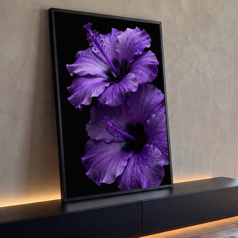 Dois hibiscos roxos em close com estames delicados sobre fundo preto, quadro decorativo