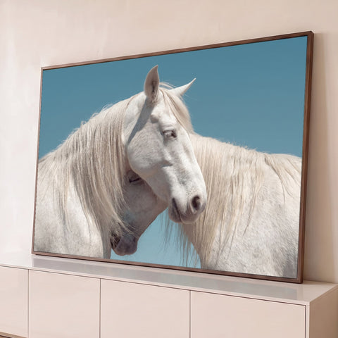 Dois cavalos brancos de crina longa encostando as cabeças em carinho sob céu azul, quadro decorativo