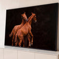 Dois potros alazões brincando e empinando sobre fundo escuro, fotografia em tons marrons, quadro decorativo