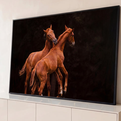 Dois potros alazões brincando e empinando sobre fundo escuro, fotografia em tons marrons, quadro decorativo