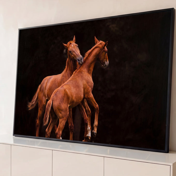 Dois potros alazões brincando e empinando sobre fundo escuro, fotografia em tons marrons, quadro decorativo