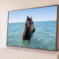 Cavalo marrom com a crina ao vento dentro do mar turquesa e veleiro no horizonte, quadro decorativo