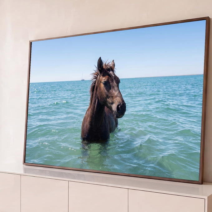 Cavalo marrom com a crina ao vento dentro do mar turquesa e veleiro no horizonte, quadro decorativo