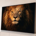 Quadro Decorativo Grande Leão com Olhar para Sala Dourado | quadros decorativos para sala | retrato de leão com juba dourada e olhar fixo sobre fundo preto | Porao dos Quadros