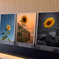 Quadro Decorativo Kit 3 Telas Girassol para Sala Amarelo | quadros decorativos para sala | girassol amarelo retratado em três cenários, céu azul, praia ao pôr do sol e pedras em preto e branco | Porao dos Quadros