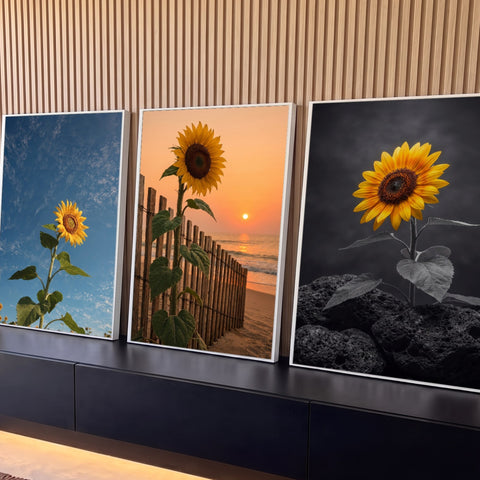 Quadro Decorativo Kit 3 Telas Girassol para Sala Amarelo | quadros decorativos para sala | girassol amarelo retratado em três cenários, céu azul, praia ao pôr do sol e pedras em preto e branco | Porao dos Quadros