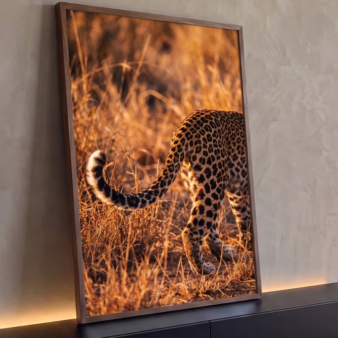 Quadro Decorativo Grande Leopardo Caminhando para Sala | quadros decorativos para sala | leopardo caminhando por grama seca dourada sob luz quente de entardecer | Porao dos Quadros