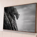 Leopardo descendo tronco de árvore em fotografia preto e branco com céu nublado, quadro decorativo