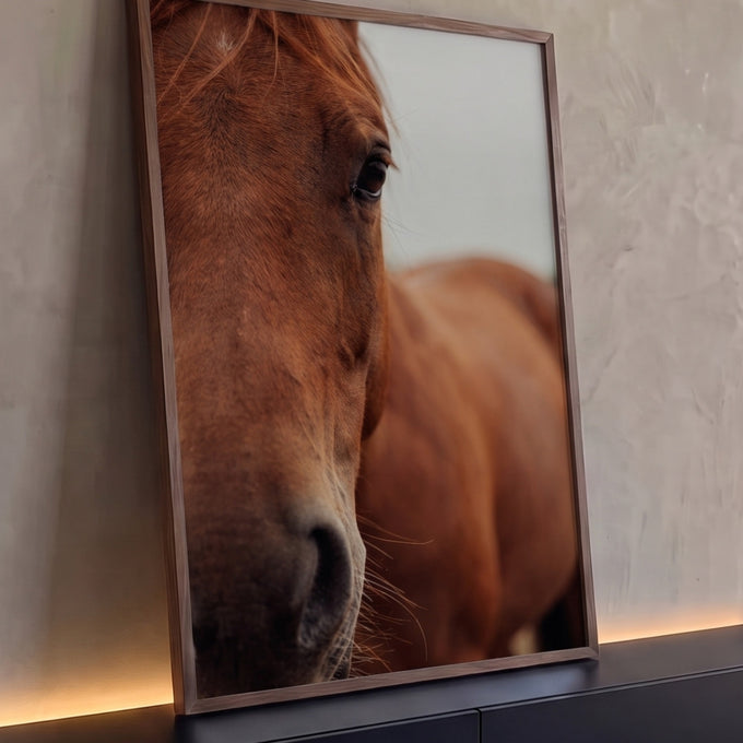Close fotográfico do rosto de cavalo castanho com olho escuro e focinho em destaque, quadro decorativo