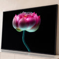 Quadro Decorativo Grande Flor de Lótus para Sala Rosa | quadros decorativos para sala | lótus rosa em close-up com estames brancos sobre fundo preto | Porao dos Quadros