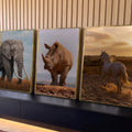 Quadro Decorativo Kit 3 Telas Elefante Rinoceronte para Sala | quadros decorativos para sala | três animais selvagens elefante rinoceronte e cavalo branco em cenários naturais | Porao dos Quadros
