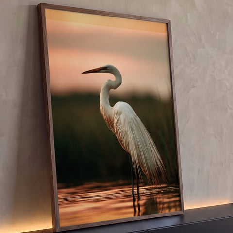 Quadro Decorativo Garça Branca ao Pôr do Sol na Água | quadros decorativos para sala | garça branca de pescoço curvado na água ao pôr do sol laranja | Porao dos Quadros