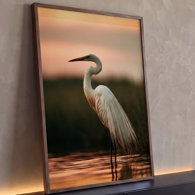 Quadro Decorativo Garça Branca ao Pôr do Sol na Água | quadros decorativos para sala | garça branca de pescoço curvado na água ao pôr do sol laranja | Porao dos Quadros