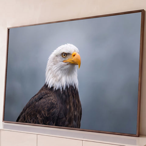 Águia-de-cabeça-branca de perfil, bico amarelo e penas marrons sobre fundo cinza enevoado, quadro decorativo