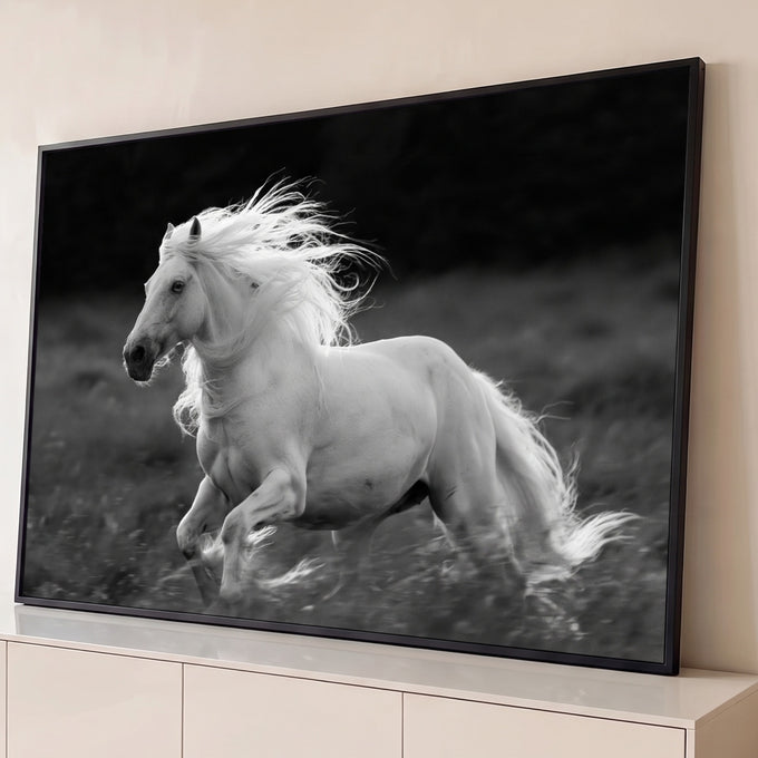 Quadro Decorativo Cavalo Branco em Galope Preto e Branco | quadros decorativos para sala | cavalo branco galopando com crina ao vento em preto e branco | Porao dos Quadros