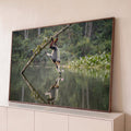 Macaco langur pendurado em galho tocando flor rosa sobre lago com reflexo na floresta, quadro decorativo