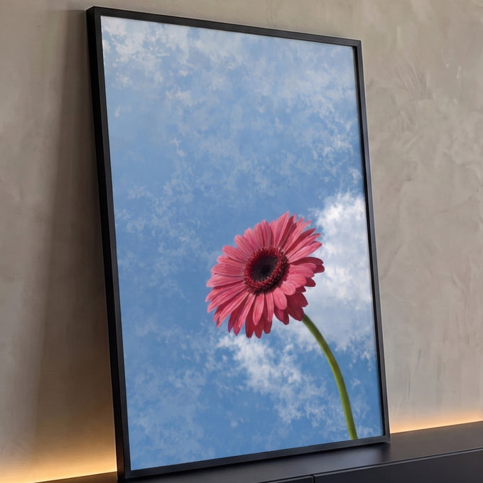 Flor gerbera rosa de caule verde erguida contra céu azul com nuvens brancas, quadro decorativo