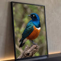 Estorninho soberbo azul iridescente com peito laranja pousado em tronco seco, fundo verde, quadro decorativo