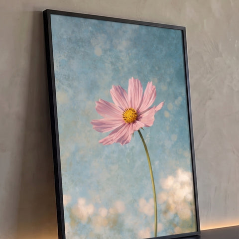 Flor cosmos rosa de centro amarelo com haste longa sobre fundo azul texturizado com bokeh, quadro decorativo