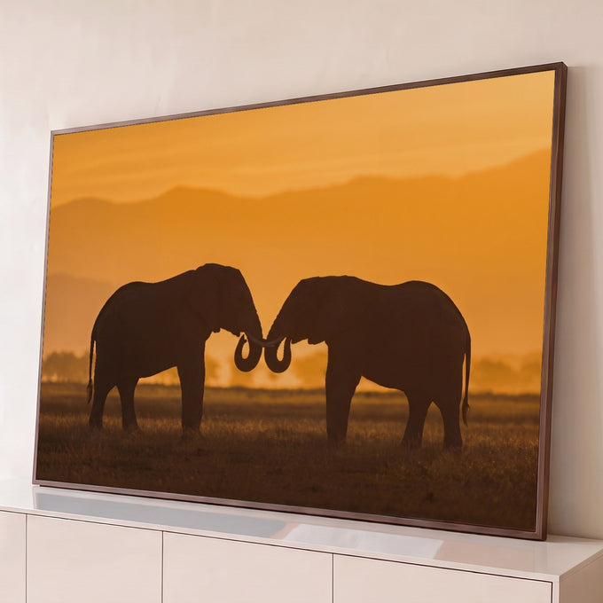 Silhueta de dois elefantes com as trombas unidas na savana ao pôr do sol laranja, quadro decorativo