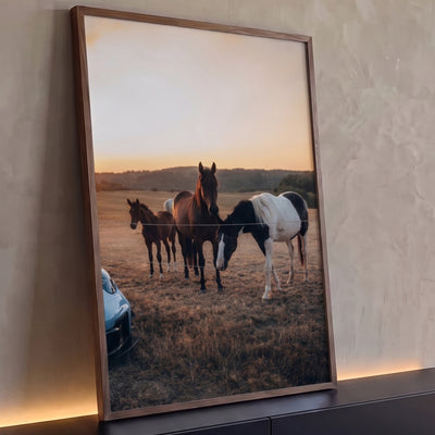 Quadro Decorativo Grande Cavalos com Potro para Sala Marrom