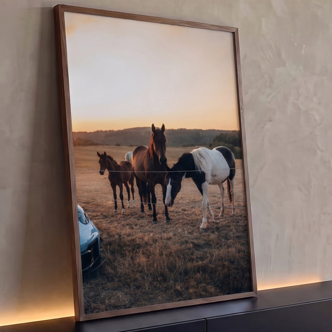 Cavalos marrom, malhado e potro no campo ao pôr do sol, com carro esportivo no canto, quadro decorativo