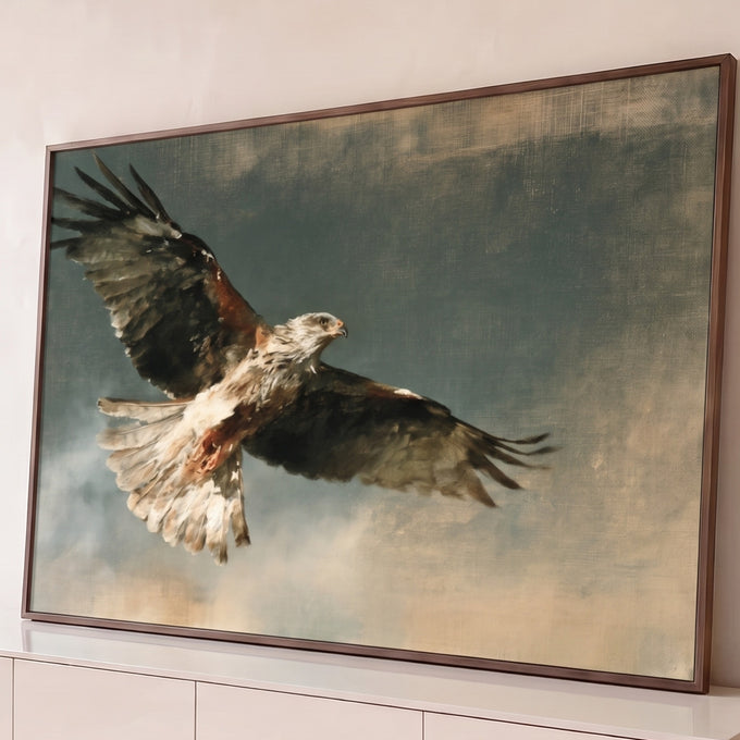 Quadro Decorativo Ave de Rapina em Voo com Asas Abertas | quadros decorativos para sala | ave de rapina em voo com asas abertas, peito branco e manchas marrom-avermelhadas | Porao dos Quadros