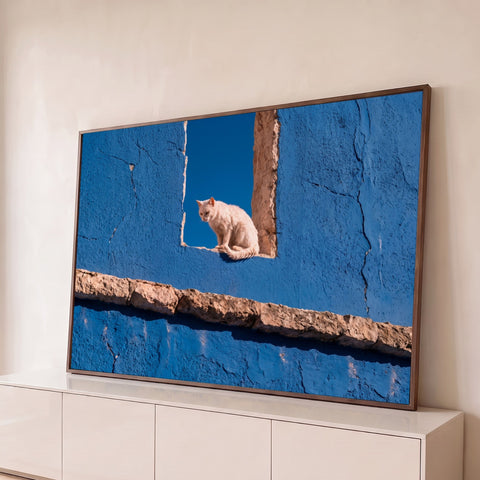 Gato branco sentado em janela de pedra numa parede azul texturizada sob céu azul, quadro decorativo