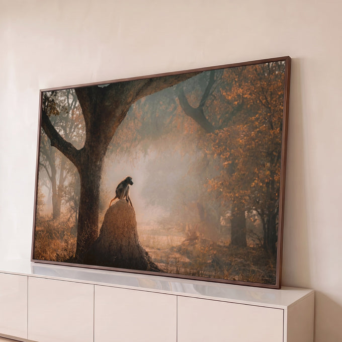 Babuíno sentado sobre cupinzeiro em floresta africana com névoa alaranjada, quadro decorativo